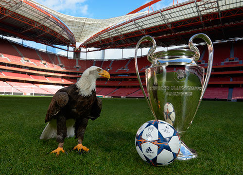 開透明的積 開透明的積